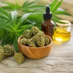 Fleurs de chanvre : guide complet pour bien les choisir et les utiliser