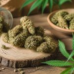 Fleur de chanvre cbd : bienfaits, usages et critères de qualité