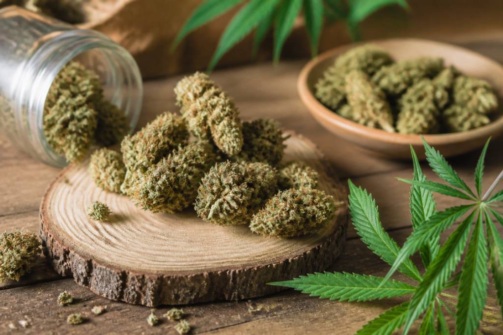 Fleur de chanvre cbd : bienfaits, usages et critères de qualité