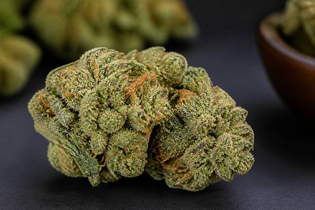 Sour diesel : origines, effets et caractéristiques de cette variété de cannabis