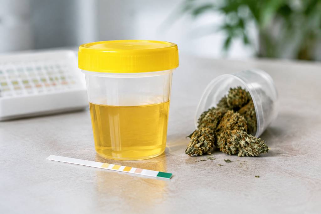 Cbd test urinaire : combien de temps le cbd reste-t-il détectable ?