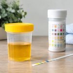 Combien de temps le CBD reste dans l’urine ? Durée de détection et facteurs à connaître